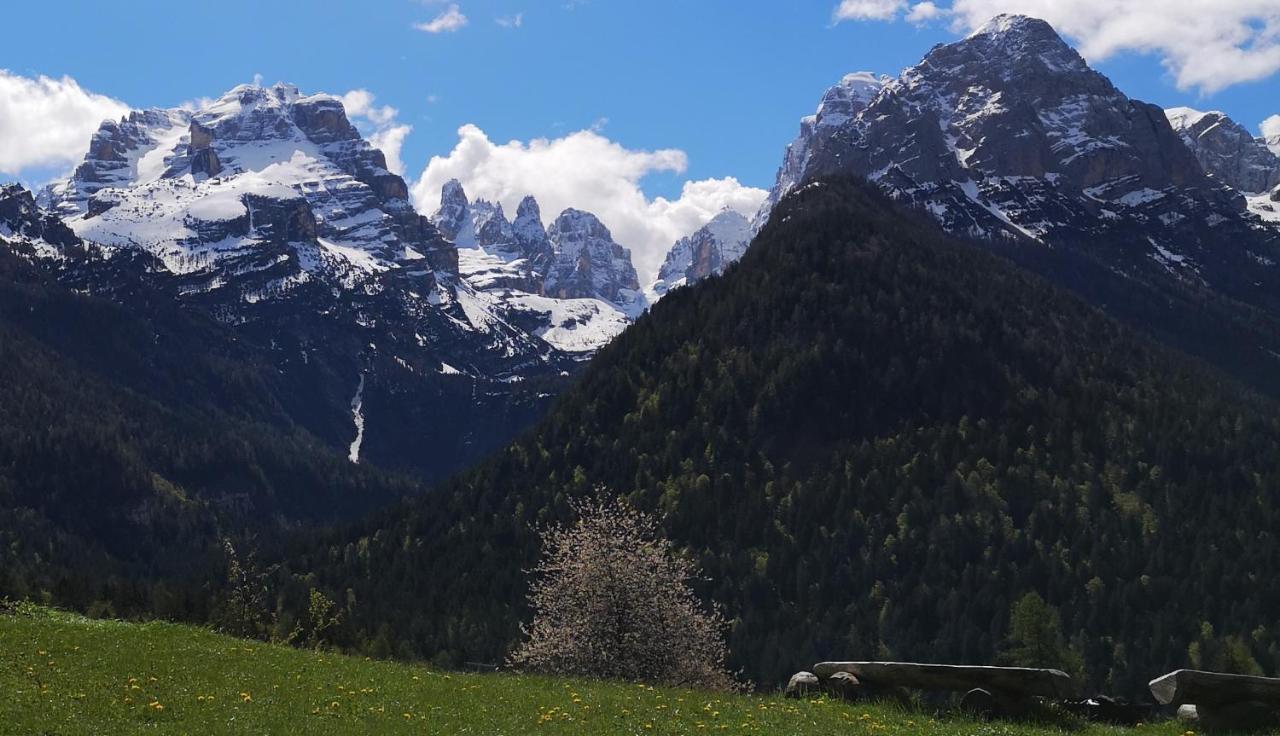 Fogajard Lovely Chalet Madonna di Campiglio Exterior foto